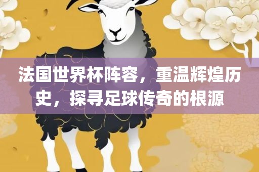 法国世界杯阵容，重温辉煌历史，探寻足球传奇的根源