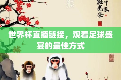 世界杯直播链接，观看足球盛宴的最佳方式