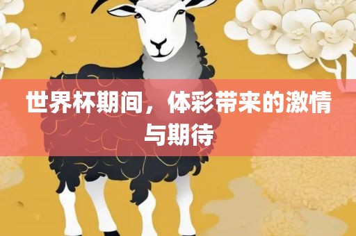 世界杯期间，体彩带来的激情与期待