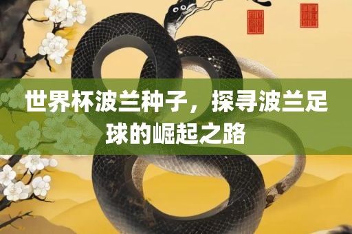 世界杯波兰种子，探寻波兰足球的崛起之路