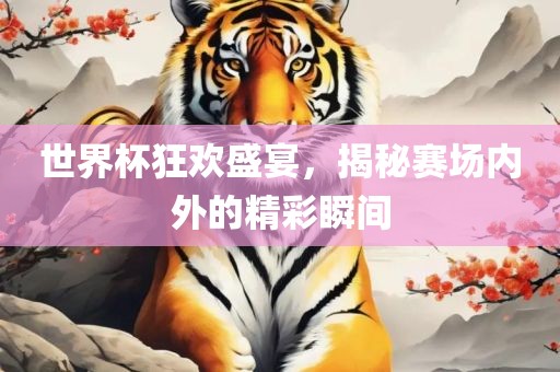世界杯狂欢盛宴，揭秘赛场内外的精彩瞬间