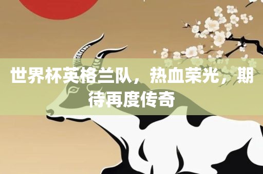 世界杯英格兰队，热血荣光，期待再度传奇