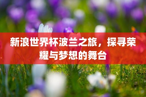 新浪世界杯波兰之旅，探寻荣耀与梦想的舞台