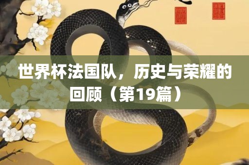 世界杯法国队，历史与荣耀的回顾（第19篇）