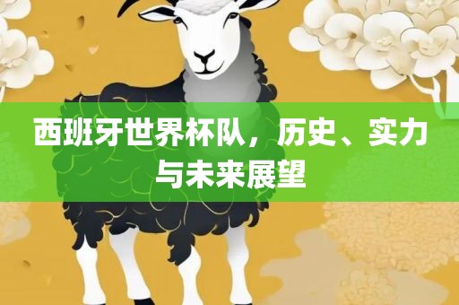 西班牙世界杯队，历史、实力与未来展望