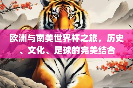 欧洲与南美世界杯之旅，历史、文化、足球的完美结合