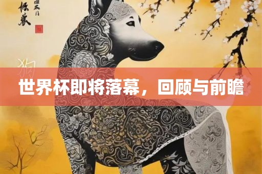 世界杯即将落幕，回顾与前瞻