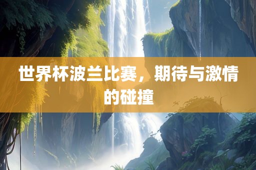 世界杯波兰比赛，期待与激情的碰撞
