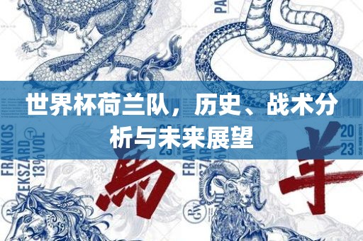 世界杯荷兰队，历史、战术分析与未来展望