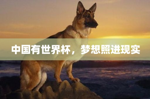 中国有世界杯，梦想照进现实