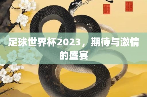 足球世界杯2023，期待与激情的盛宴