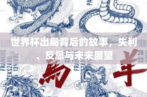 世界杯出局背后的故事，失利、反思与未来展望