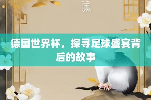 德国世界杯，探寻足球盛宴背后的故事