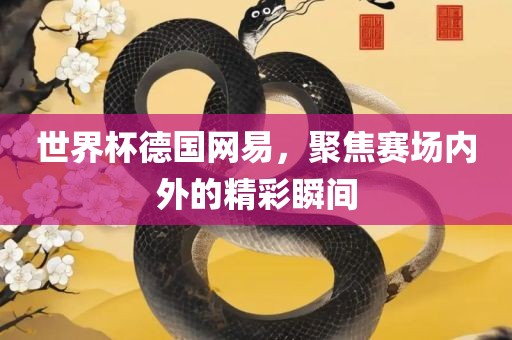 世界杯德国网易，聚焦赛场内外的精彩瞬间