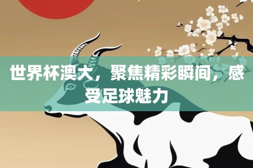 世界杯澳大，聚焦精彩瞬间，感受足球魅力