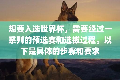 想要入选世界杯，需要经过一系列的预选赛和选拔过程。以下是具体的步骤和要求