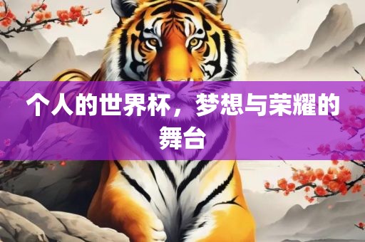 个人的世界杯，梦想与荣耀的舞台
