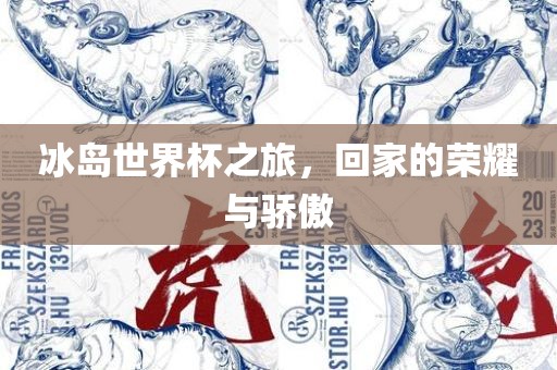 冰岛世界杯之旅，回家的荣耀与骄傲