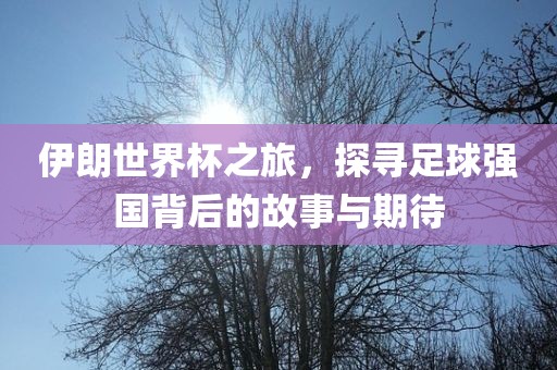 伊朗世界杯之旅，探寻足球强国背后的故事与期待
