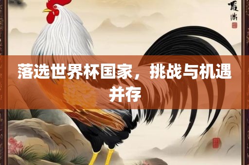 落选世界杯国家，挑战与机遇并存