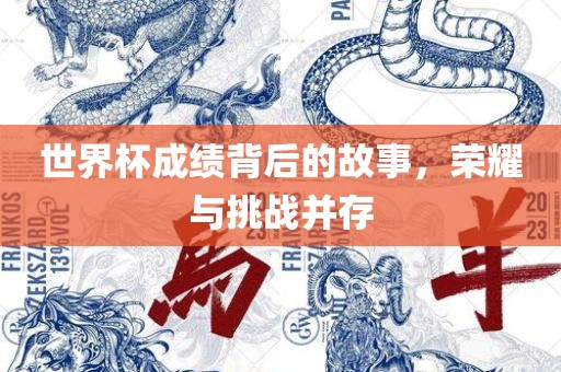世界杯成绩背后的故事，荣耀与挑战并存