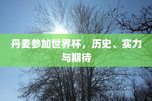 丹麦参加世界杯，历史、实力与期待