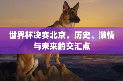 世界杯决赛北京，历史、激情与未来的交汇点