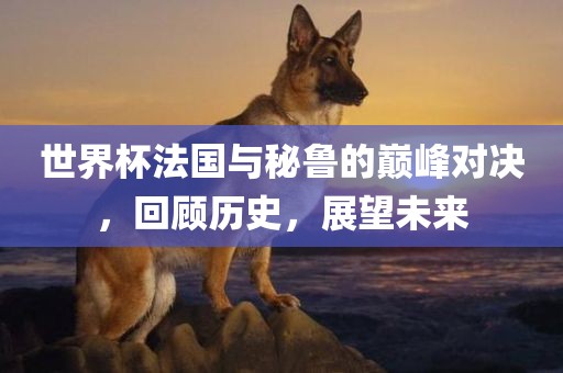 世界杯法国与秘鲁的巅峰对决，回顾历史，展望未来