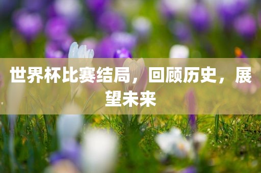 世界杯比赛结局，回顾历史，展望未来