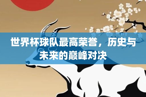 世界杯球队最高荣誉，历史与未来的巅峰对决