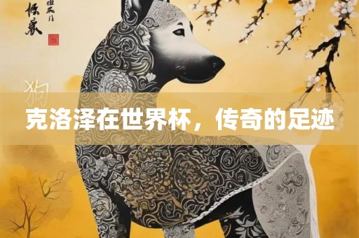 克洛泽在世界杯，传奇的足迹