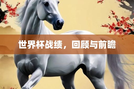 世界杯战绩，回顾与前瞻