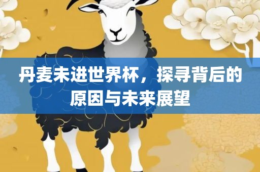 丹麦未进世界杯，探寻背后的原因与未来展望