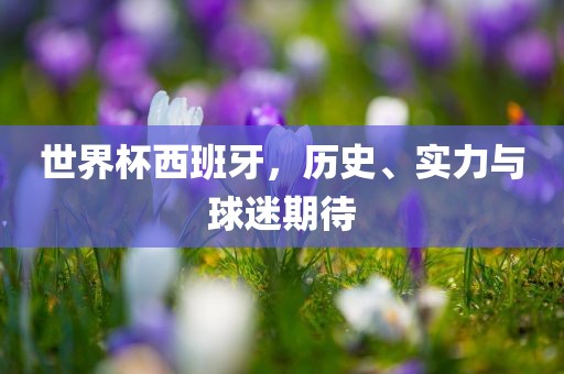 世界杯西班牙，历史、实力与球迷期待