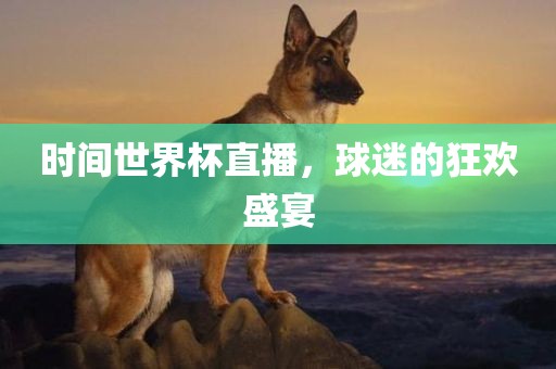 时间世界杯直播，球迷的狂欢盛宴