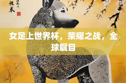 女足上世界杯，荣耀之战，全球瞩目