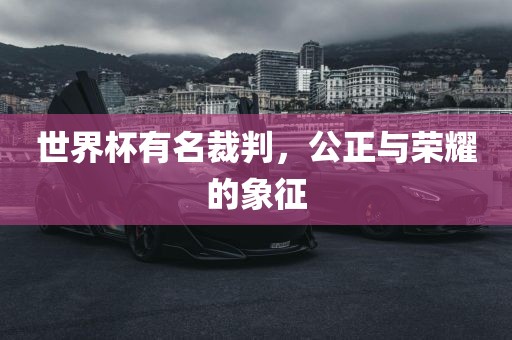 世界杯有名裁判，公正与荣耀的象征