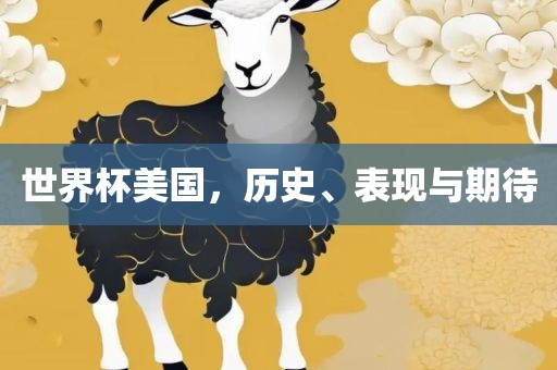 世界杯美国，历史、表现与期待