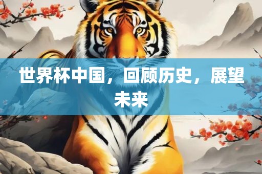 世界杯中国，回顾历史，展望未来