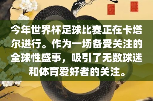今年世界杯足球比赛正在卡塔尔进行。作为一场备受关注的全球性盛事，吸引了无数球迷和体育爱好者的关注。