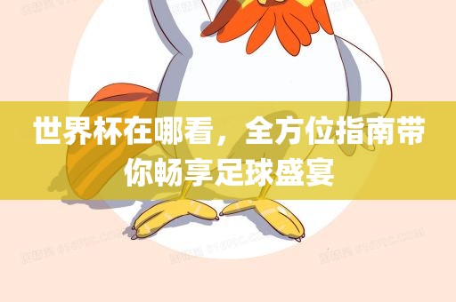 世界杯在哪看，全方位指南带你畅享足球盛宴